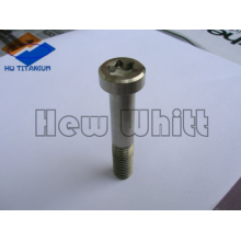 high end Ti6AI4V Titanium torx pan head screws